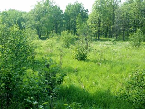 10005 Rice Road Brook Park MN 55007
