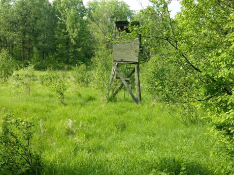 10005 Rice Road Brook Park MN 55007