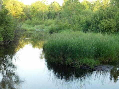10005 Rice Road Brook Park MN 55007