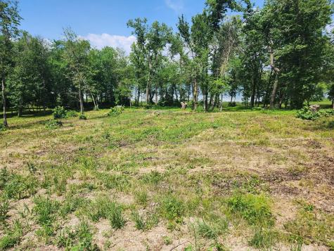 Lot 2 125th Street Dalton MN 56324