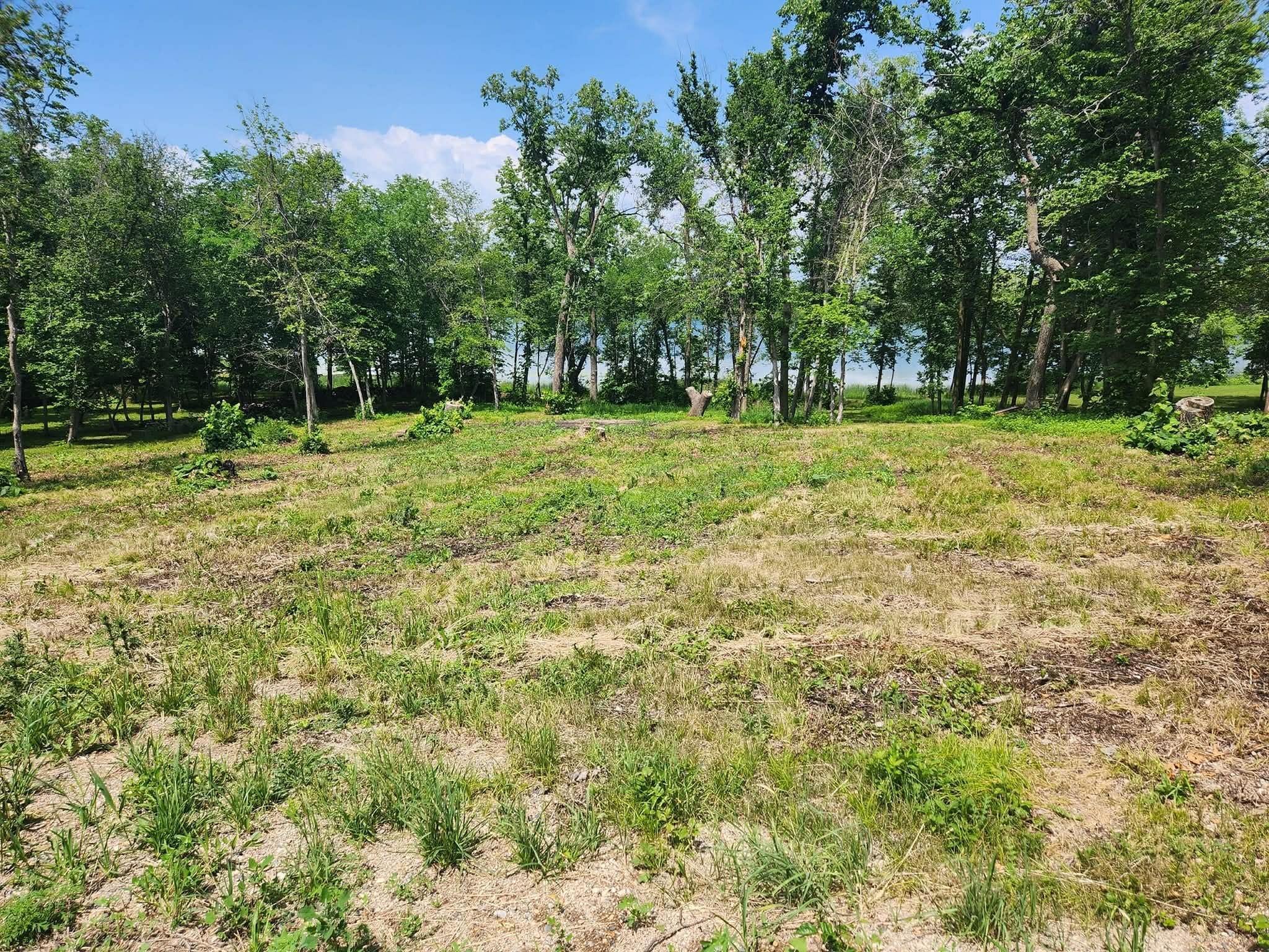 Lot 2 125th Street Dalton MN 56324