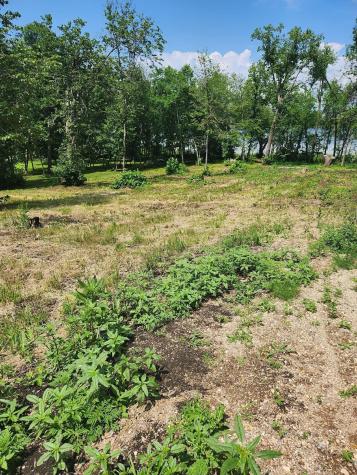 Lot 2 125th Street Dalton MN 56324