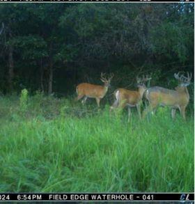 0 Lake Road Melrose WI 54642
