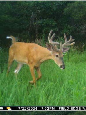 0 Lake Road Melrose WI 54642