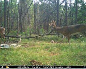 0 Lake Road Melrose WI 54642