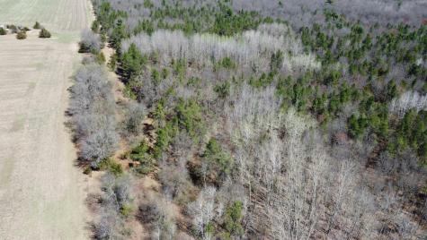 0 Lake Road Melrose WI 54642