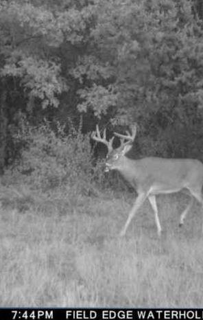 0 Lake Road Melrose WI 54642