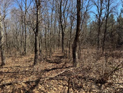 0 Lake Road Melrose WI 54642