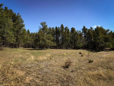 0 Lake Road Melrose WI 54642