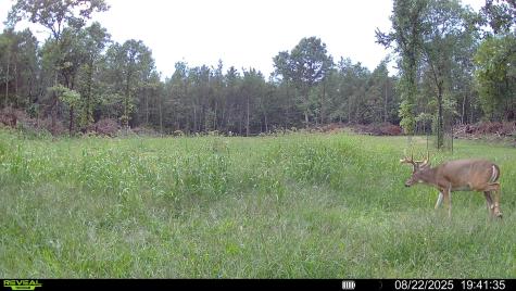 0 Lake Road Melrose WI 54642