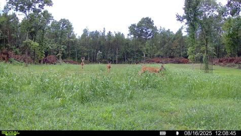 0 Lake Road Melrose WI 54642