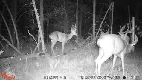 0 Lake Road Melrose WI 54642