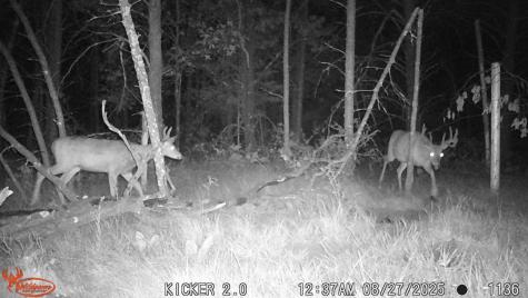 0 Lake Road Melrose WI 54642