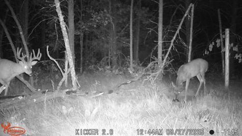 0 Lake Road Melrose WI 54642