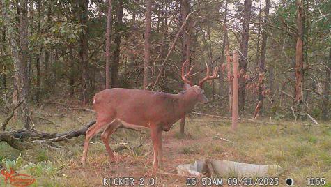 0 Lake Road Melrose WI 54642