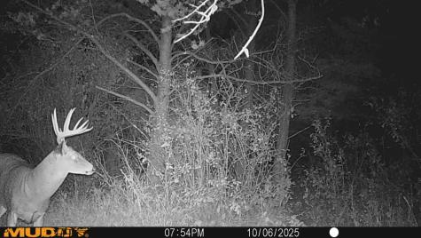 0 Lake Road Melrose WI 54642