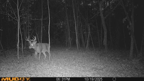 0 Lake Road Melrose WI 54642