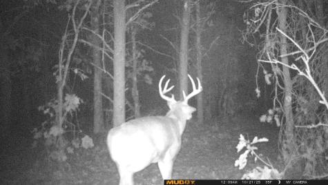 0 Lake Road Melrose WI 54642