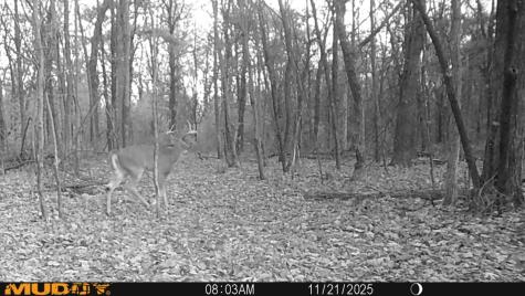 0 Lake Road Melrose WI 54642