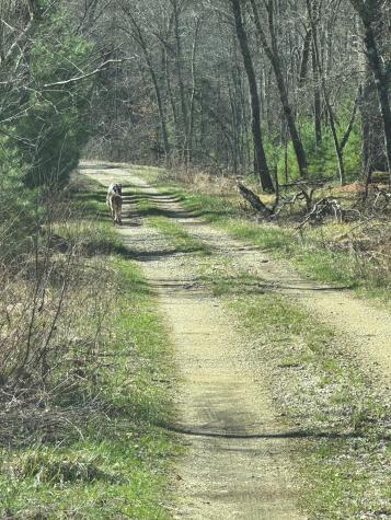 0 Lake Road Melrose WI 54642