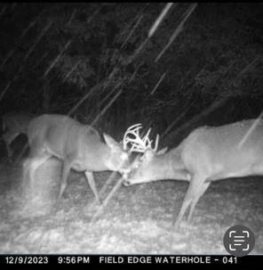 0 Lake Road Melrose WI 54642