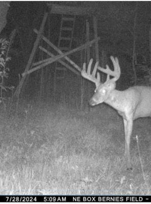 0 Lake Road Melrose WI 54642