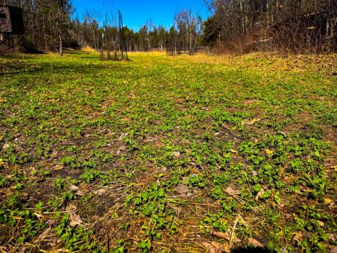 0 Lake Road Melrose WI 54642