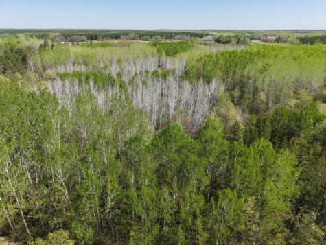 Tbd 10 Bog Lake Trail Osage MN 56570