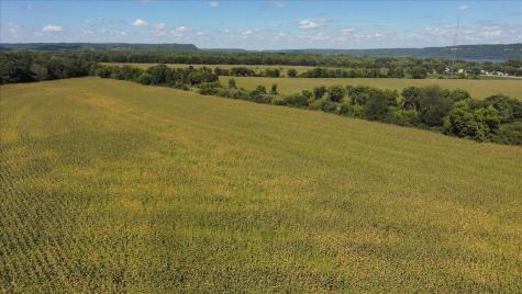 Tbd Staehli Park Road Lake City MN 55041
