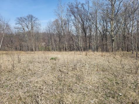 Lot 4 River Pointe Trail Underwood MN 56586