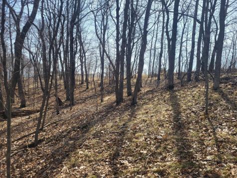 Lot 4 River Pointe Trail Underwood MN 56586