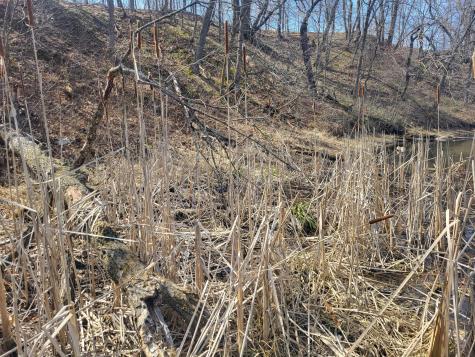 Lot 4 River Pointe Trail Underwood MN 56586