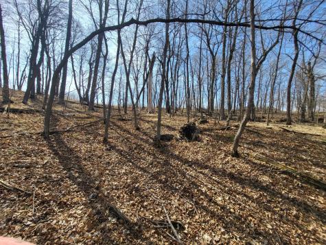 Lot 4 River Pointe Trail Underwood MN 56586