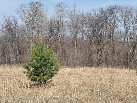 Lot 4 River Pointe Trail Underwood MN 56586