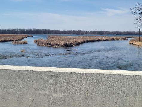 Lot 4 River Pointe Trail Underwood MN 56586