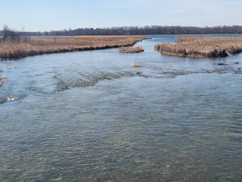 Lot 4 River Pointe Trail Underwood MN 56586