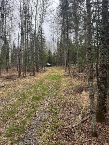 3426 Highway 53 Eveleth MN 55734