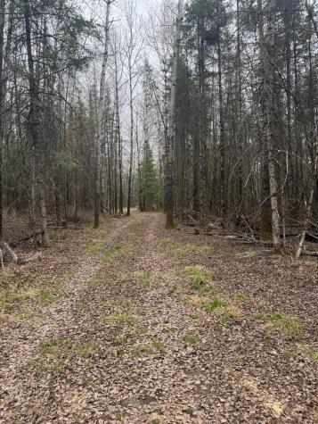 3426 Highway 53 Eveleth MN 55734