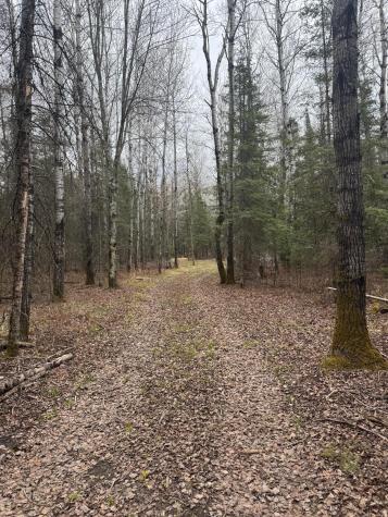 3426 Highway 53 Eveleth MN 55734