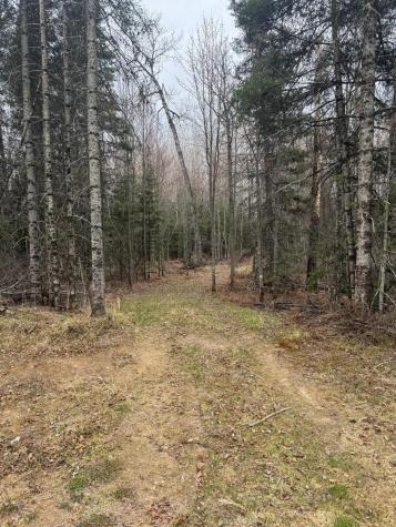 3426 Highway 53 Eveleth MN 55734