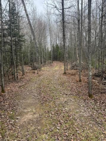 3426 Highway 53 Eveleth MN 55734