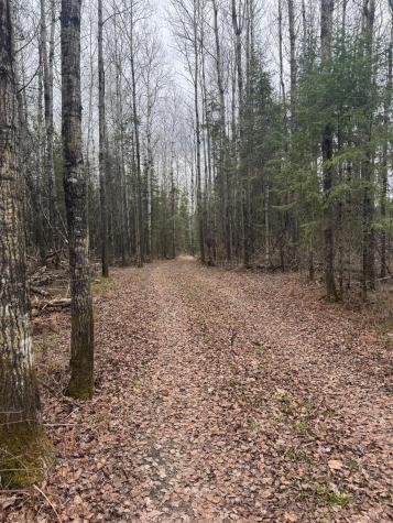 3426 Highway 53 Eveleth MN 55734