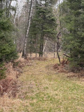 3426 Highway 53 Eveleth MN 55734