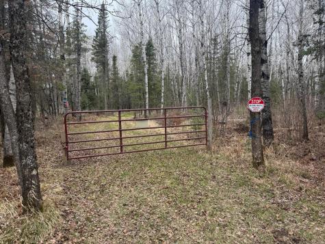 3426 Highway 53 Eveleth MN 55734