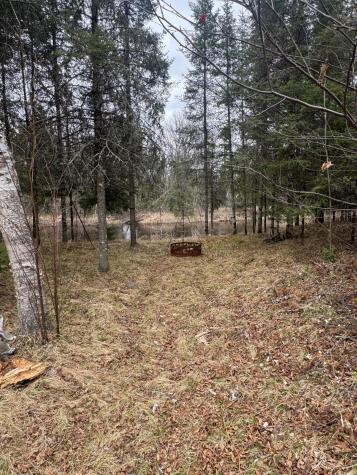 3426 Highway 53 Eveleth MN 55734
