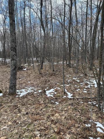 36599 Dove Aitkin MN 56431