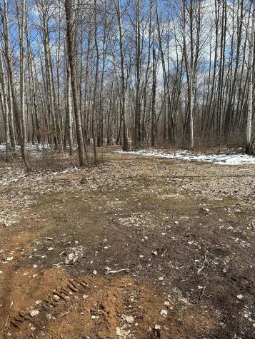 36599 Dove Aitkin MN 56431