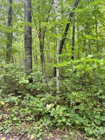 Xxx Opal Lane Cushing MN 56443