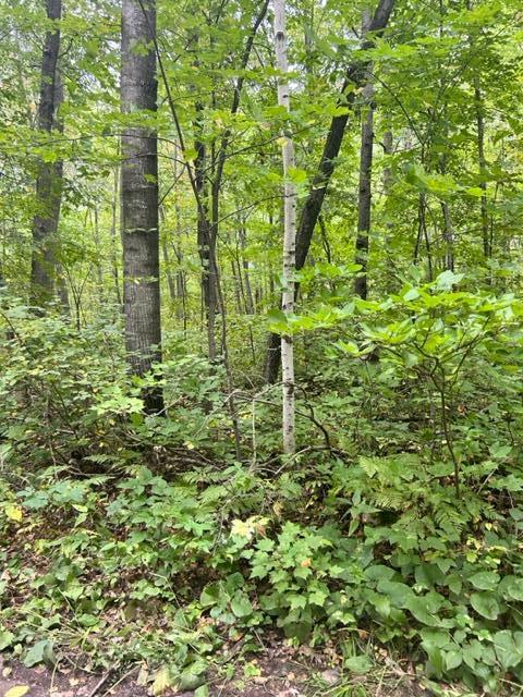 Xxx Opal Lane Cushing MN 56443