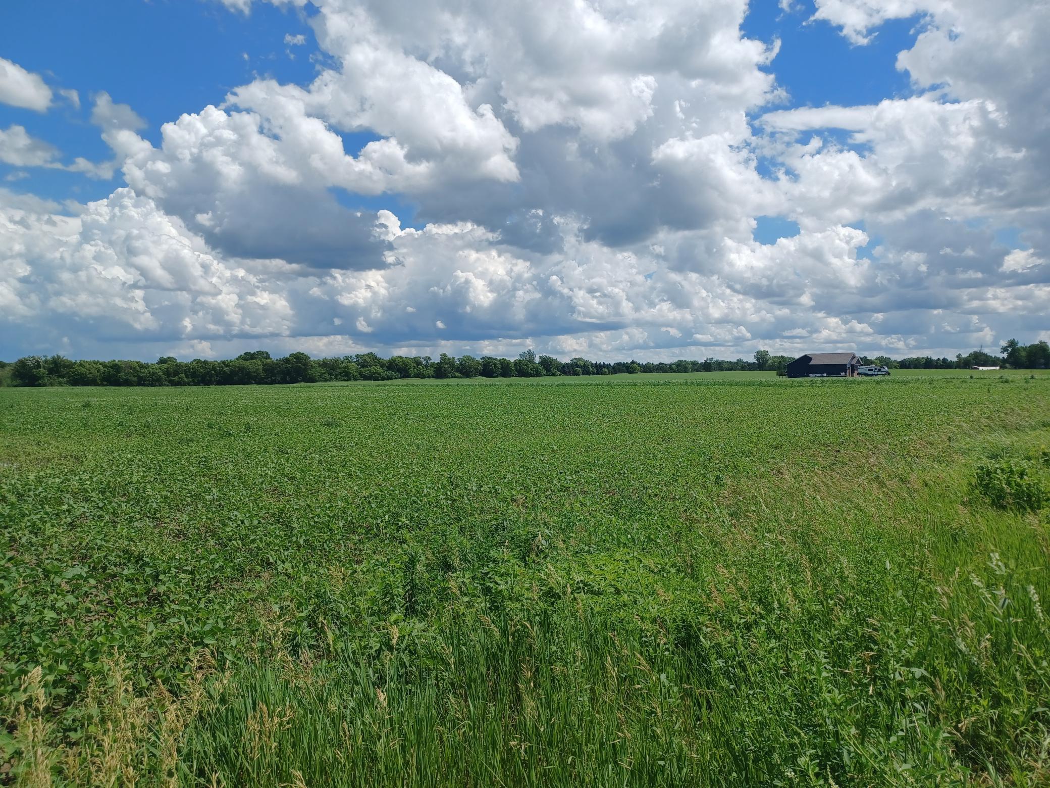 128XX Jody Avenue Hugo MN 55038